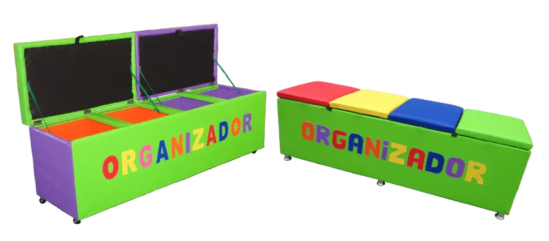 Baú Organizador